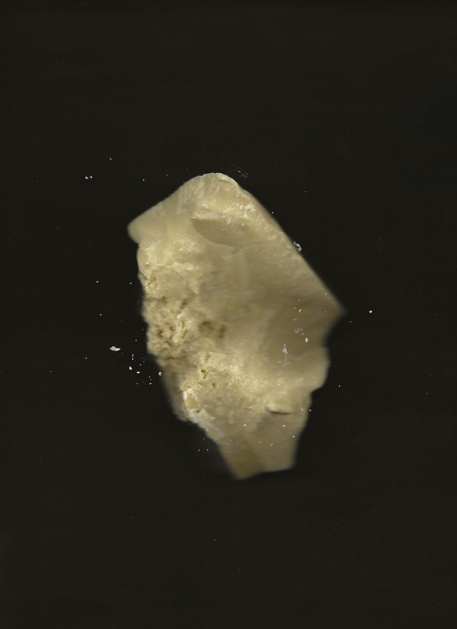 Cacao Rose – Lip, Brow, Eye & Cuticle Balm | Floral Infusion with Jasmine & Geranium